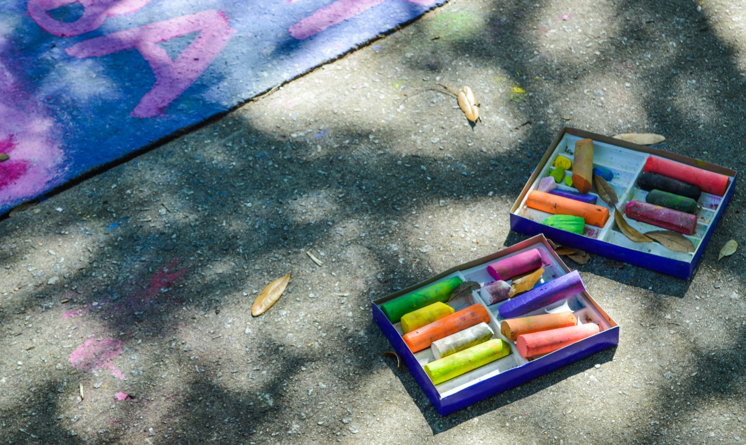 Harvard Professors Clap Back At University's 'Dizzying' Chalk Ban After ...