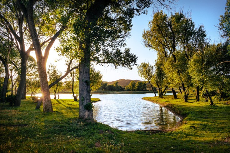 Olivet University, Anza California Campus