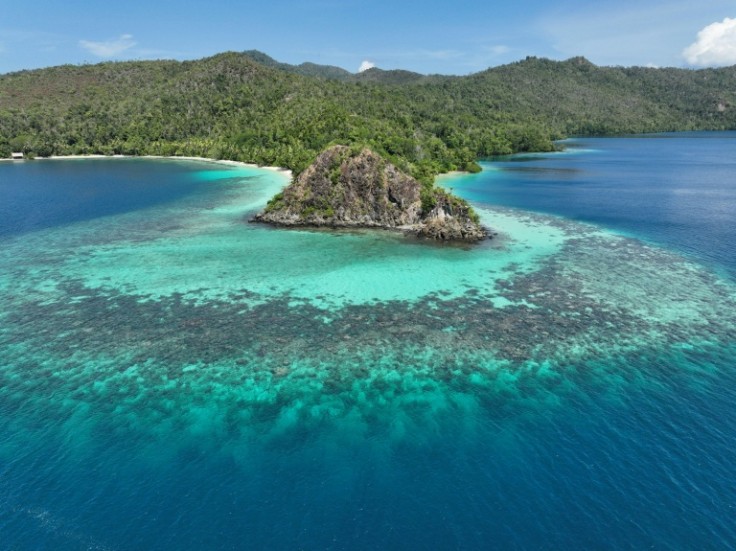 Indonesia's government revoked permits for four of the five nickel mining companies operating in the cluster of islands and shoals in southwest Papua province