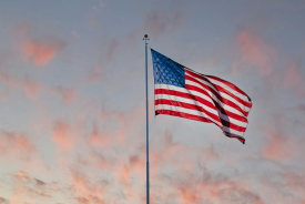 Dave Taylor Reacts To American Flag With Swastika